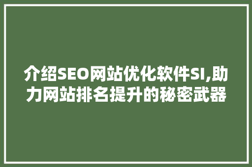 介绍SEO网站优化软件SI,助力网站排名提升的秘密武器