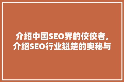 介绍中国SEO界的佼佼者,介绍SEO行业翘楚的奥秘与步骤