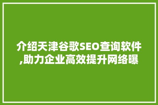 介绍天津谷歌SEO查询软件,助力企业高效提升网络曝光度
