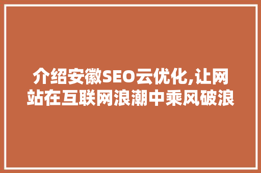 介绍安徽SEO云优化,让网站在互联网浪潮中乘风破浪