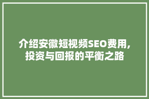介绍安徽短视频SEO费用,投资与回报的平衡之路