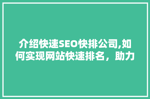 介绍快速SEO快排公司,如何实现网站快速排名，助力企业腾飞