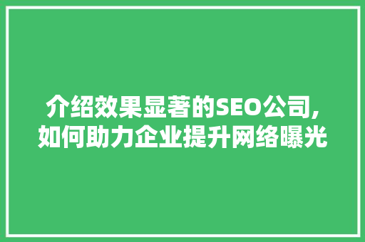 介绍效果显著的SEO公司,如何助力企业提升网络曝光度