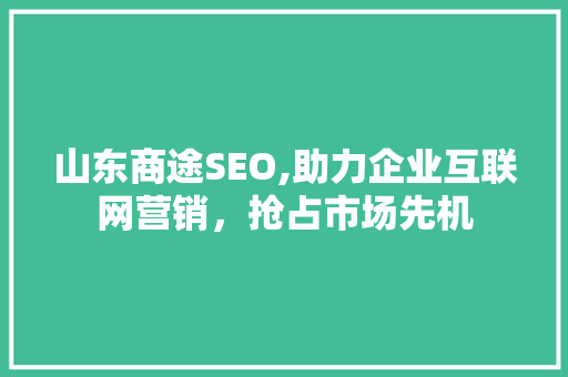 山东商途SEO,助力企业互联网营销，抢占市场先机