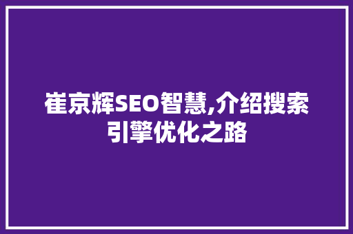 崔京辉SEO智慧,介绍搜索引擎优化之路