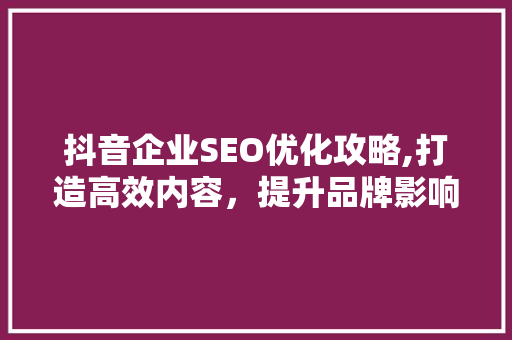 抖音企业SEO优化攻略,打造高效内容，提升品牌影响力