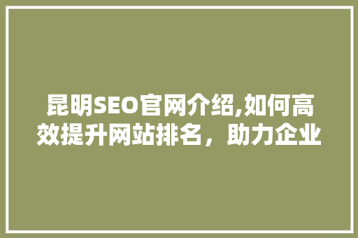 昆明SEO官网介绍,如何高效提升网站排名，助力企业腾飞