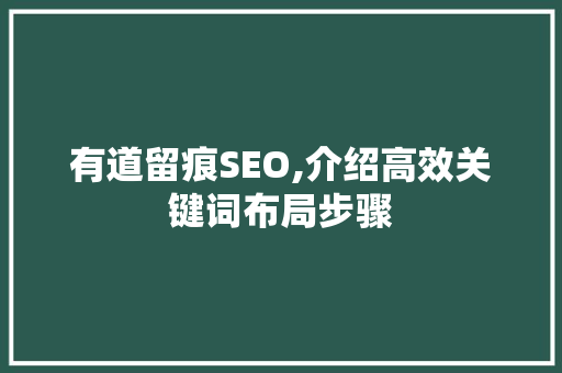 有道留痕SEO,介绍高效关键词布局步骤