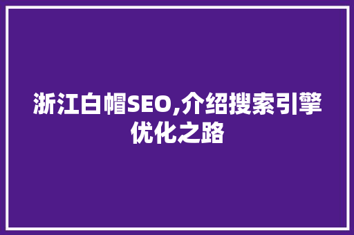 浙江白帽SEO,介绍搜索引擎优化之路