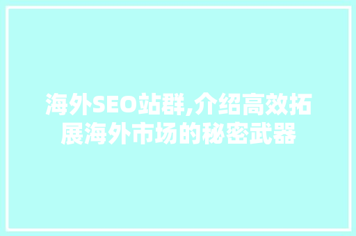 海外SEO站群,介绍高效拓展海外市场的秘密武器