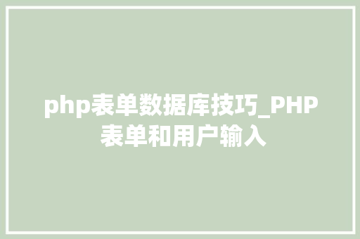 php表单数据库技巧_PHP 表单和用户输入