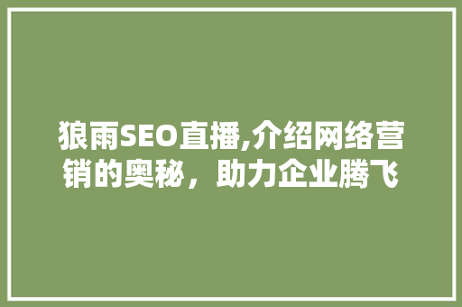 狼雨SEO直播,介绍网络营销的奥秘，助力企业腾飞