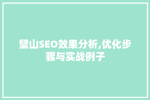璧山SEO效果分析,优化步骤与实战例子