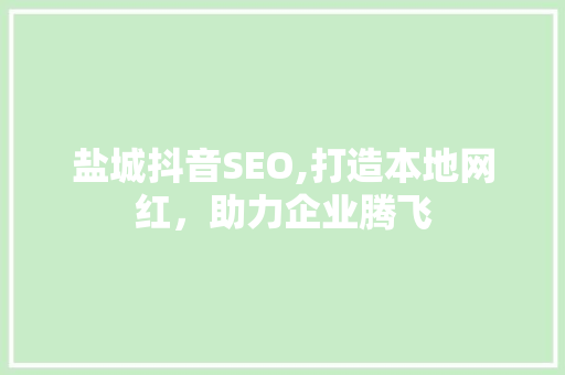 盐城抖音SEO,打造本地网红，助力企业腾飞