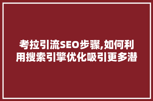 考拉引流SEO步骤,如何利用搜索引擎优化吸引更多潜在客户