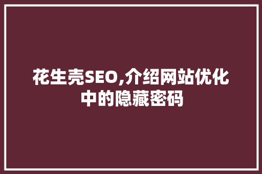 花生壳SEO,介绍网站优化中的隐藏密码