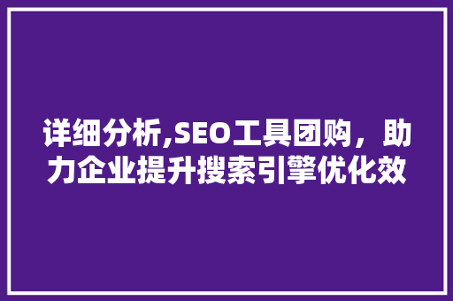 详细分析,SEO工具团购，助力企业提升搜索引擎优化效果