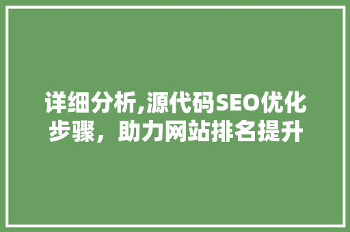 详细分析,源代码SEO优化步骤，助力网站排名提升