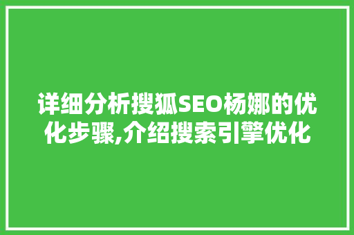 详细分析搜狐SEO杨娜的优化步骤,介绍搜索引擎优化之路