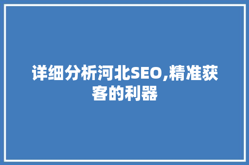 详细分析河北SEO,精准获客的利器