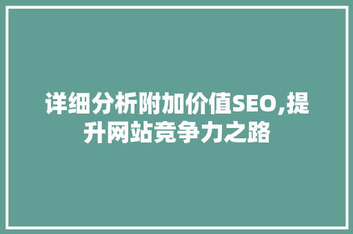 详细分析附加价值SEO,提升网站竞争力之路