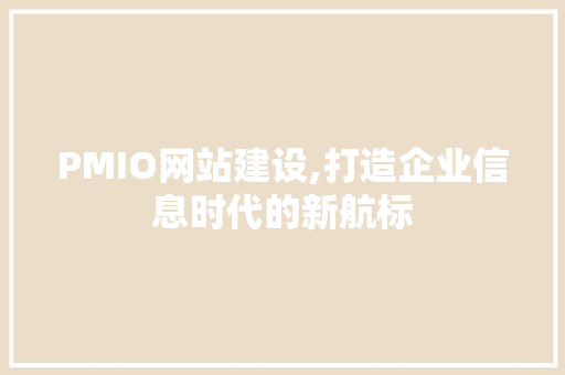 PMIO网站建设,打造企业信息时代的新航标