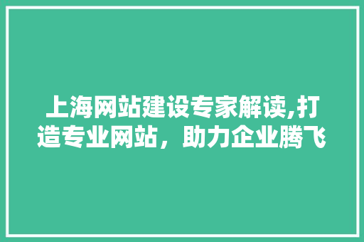 上海网站建设专家解读,打造专业网站，助力企业腾飞