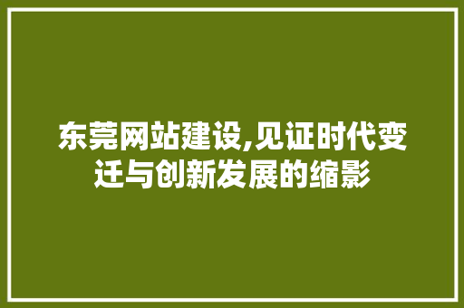 东莞网站建设,见证时代变迁与创新发展的缩影