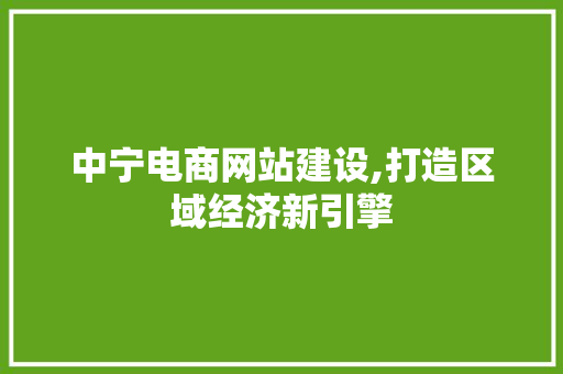 中宁电商网站建设,打造区域经济新引擎