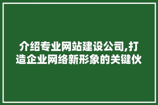 介绍专业网站建设公司,打造企业网络新形象的关键伙伴