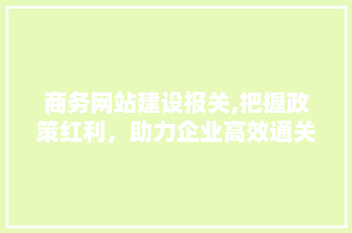 商务网站建设报关,把握政策红利，助力企业高效通关