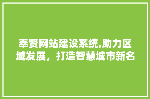 奉贤网站建设系统,助力区域发展，打造智慧城市新名片