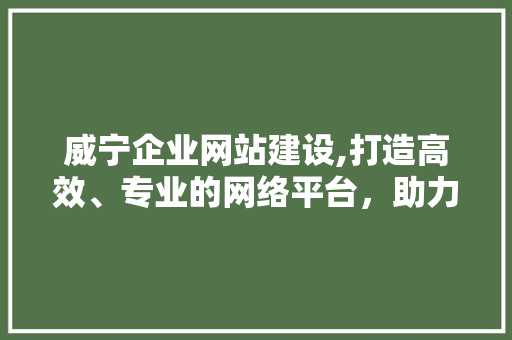 威宁企业网站建设,打造高效、专业的网络平台，助力企业腾飞