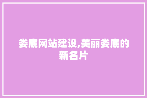 娄底网站建设,美丽娄底的新名片