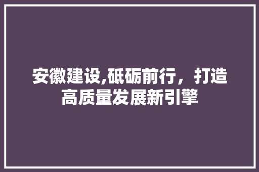 安徽建设,砥砺前行，打造高质量发展新引擎