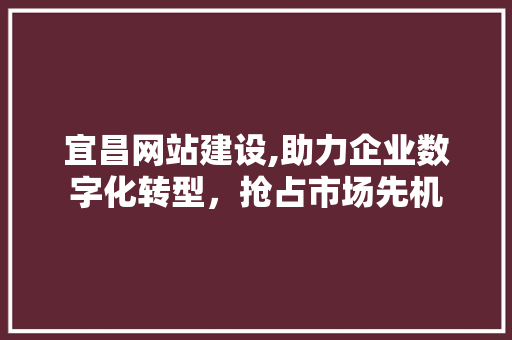 宜昌网站建设,助力企业数字化转型，抢占市场先机