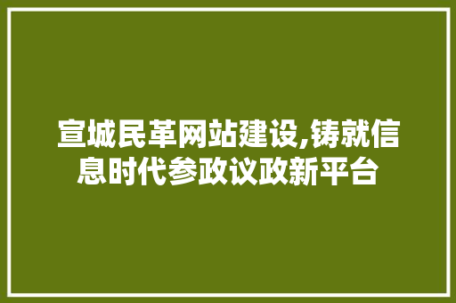 宣城民革网站建设,铸就信息时代参政议政新平台