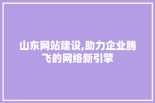 山东网站建设,助力企业腾飞的网络新引擎
