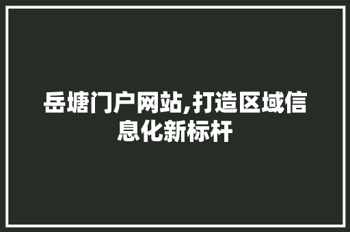 岳塘门户网站,打造区域信息化新标杆