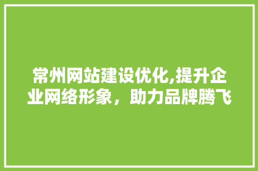 常州网站建设优化,提升企业网络形象，助力品牌腾飞