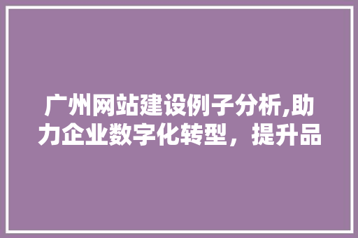 广州网站建设例子分析,助力企业数字化转型，提升品牌影响力