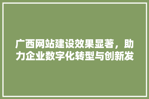 广西网站建设效果显著，助力企业数字化转型与创新发展