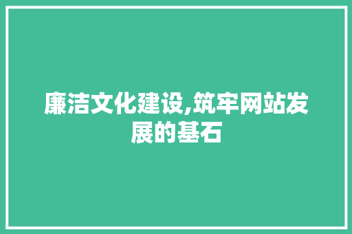 廉洁文化建设,筑牢网站发展的基石