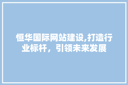 恒华国际网站建设,打造行业标杆，引领未来发展