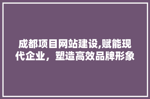 成都项目网站建设,赋能现代企业，塑造高效品牌形象
