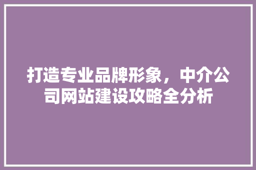 打造专业品牌形象，中介公司网站建设攻略全分析