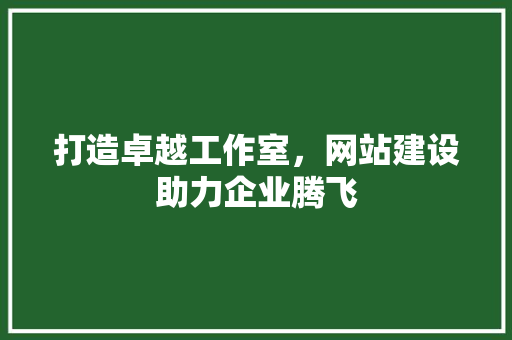 打造卓越工作室，网站建设助力企业腾飞