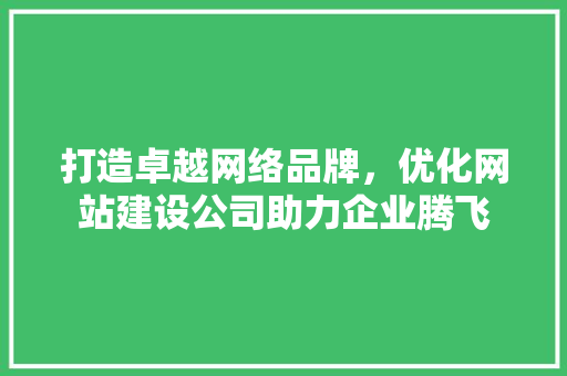 打造卓越网络品牌，优化网站建设公司助力企业腾飞