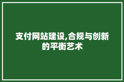 支付网站建设,合规与创新的平衡艺术