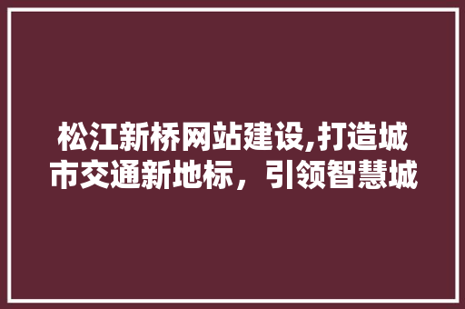 松江新桥网站建设,打造城市交通新地标，引领智慧城市建设新潮流